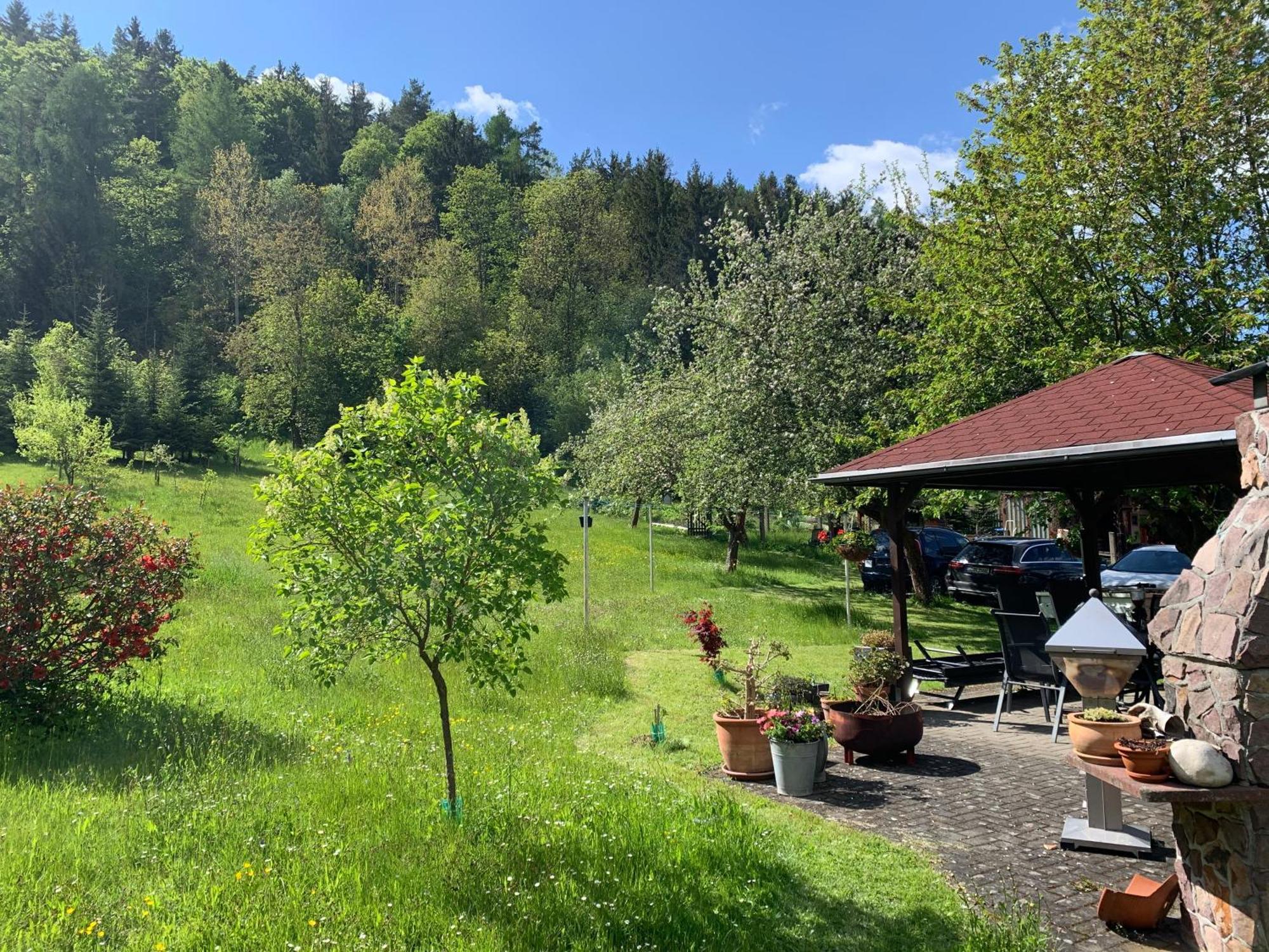 Haus Sonnenwalde - Familie Ruhe Hotel Rohrbach  Eksteriør billede