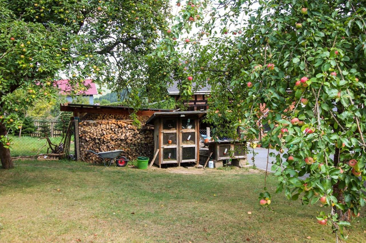 Haus Sonnenwalde - Familie Ruhe Hotel Rohrbach  Eksteriør billede