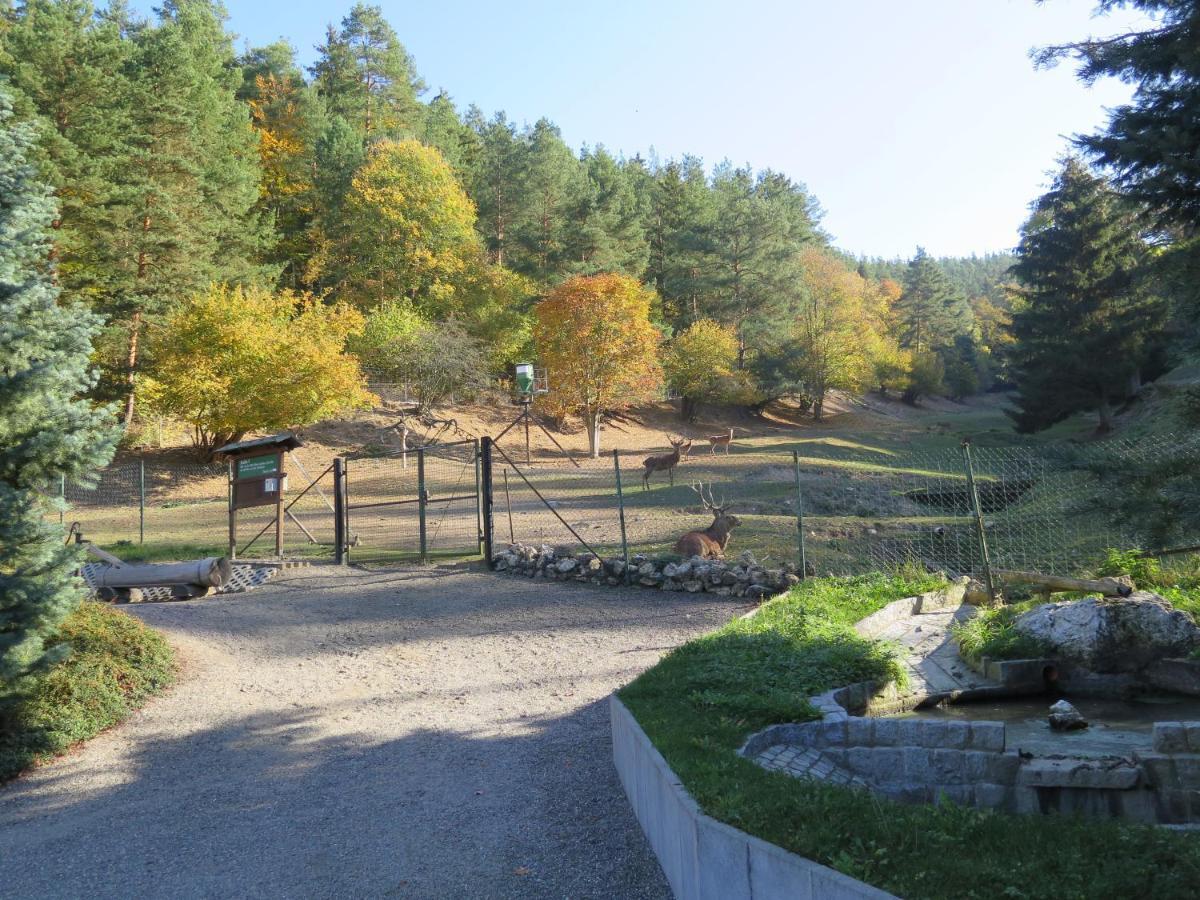 Haus Sonnenwalde - Familie Ruhe Hotel Rohrbach  Eksteriør billede